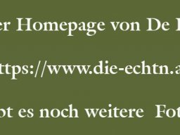 33. Geburtstag De Echt`n